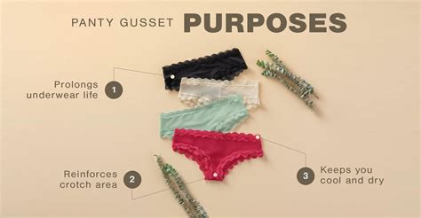 Panty Gusset 101 Why Do Womens Underwear Have A Pocket Leonisa