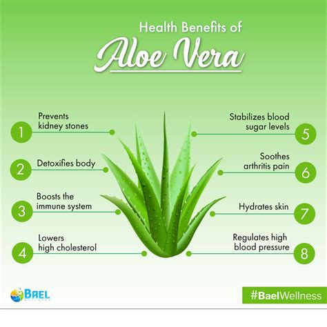 Did You Know The Advantages Of Aloe Vera Health Aloevera Skincare