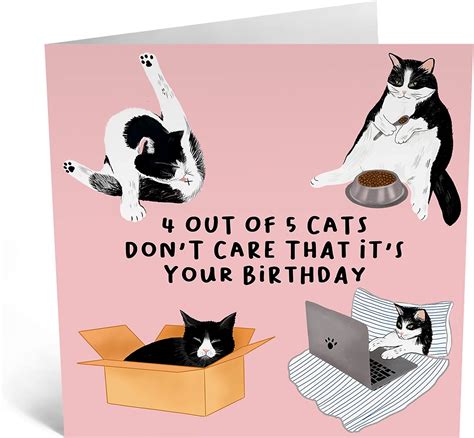 Central 23 Funny Birthday Card For Him 4 Out Of 5 Cats Cheeky