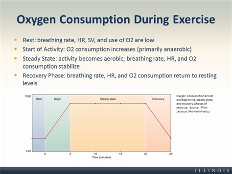 How To Increase Oxygen Intake During Exercise Exercise Poster
