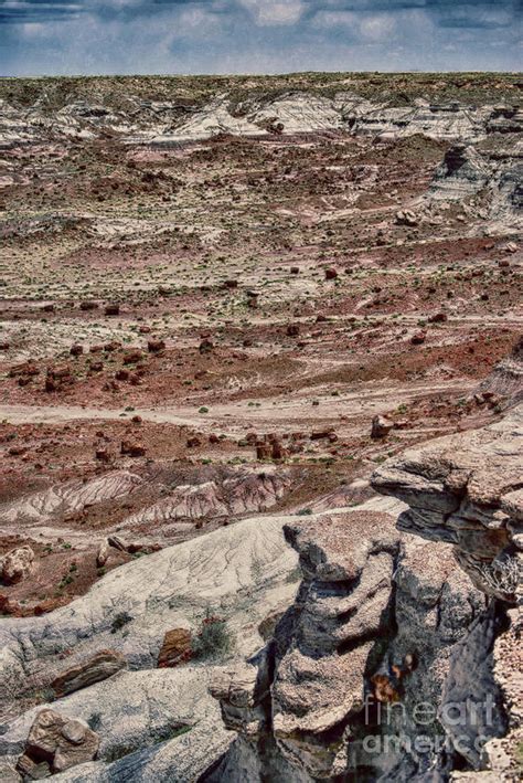 Rugged Terrain Of The Southwest Photograph By Judy Hall Folde Fine