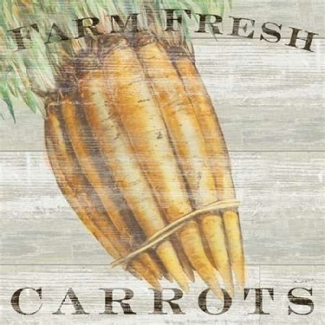 Farm Fresh Carrots Poster Print By Sue Schlabach 12 X 12 Walmart