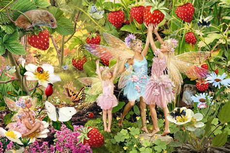 Summer Fairies Photograph By Steve Read Summer Fairy Fairy Wall Art