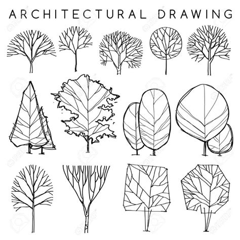 Satz Von Architektonischen Hand Gezeichnete Bäume Vektor Illustration