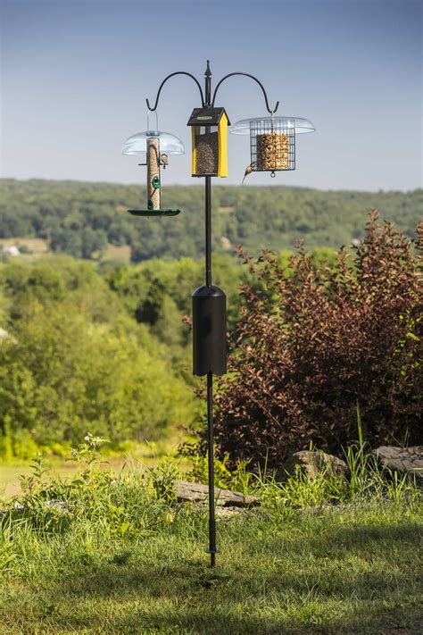 Make this easy and inexpensive diy bird feeder pole and hang it on your deck so that you can see the birds eating right out your window. Squirrel-Proof Super Tall Triple Hanger | Bird feeder ...