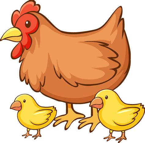 Hen With Chicks Cartoon On White Background Vector Art At Vecteezy