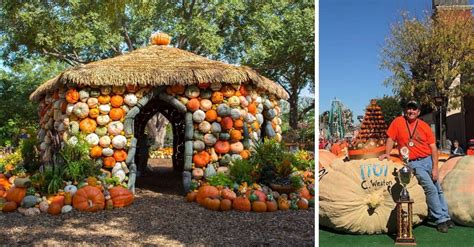19 Amazing Fall Festivals To Visit This Year In The United States