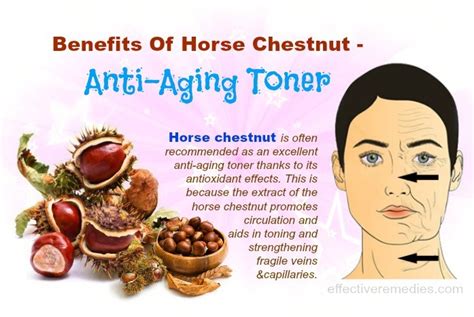 The Potential Effects Of Horse Chestnut On Thyroid Health Healing