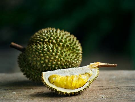 Durian Magrica Com