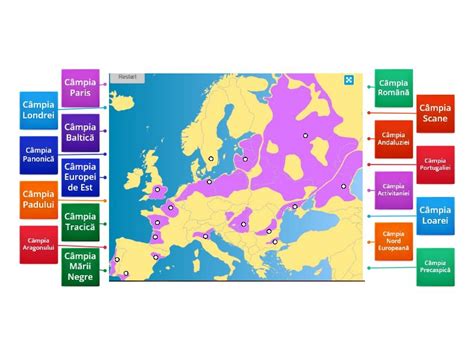 Câmpii în Europa Labelled Diagram