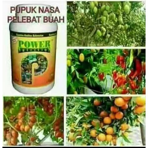 Jual Pupuk Perangsang Buah Pupuk Pelebat Buah Pupuk Pembuahan Luar