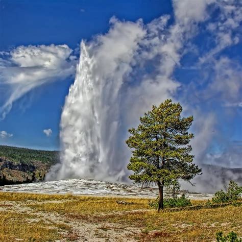 pin by wcm photography on photography of the national parks and beyond yellowstone national