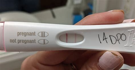 Got My Dye Stealer At 14 Dpo After A Less Than Great 13 Dpo Progression