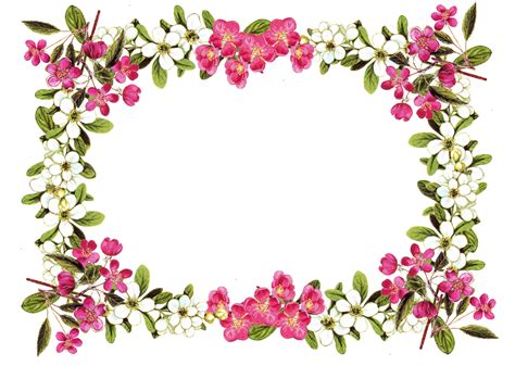 Download Free Printable Clip Art Borders Digital Flower Flower Border