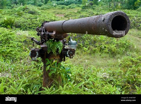 Japanese Wwii Artillery War Relic Ruins Yap Micronesia Stock Photo Alamy