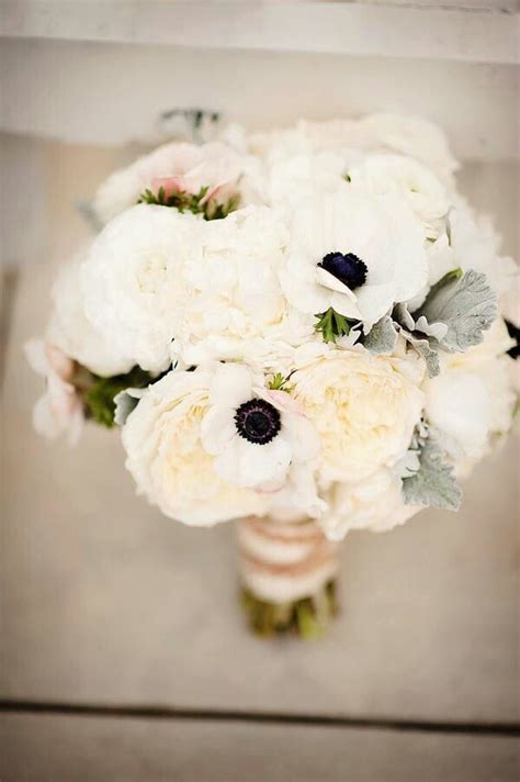 Double peonies are of those peonies which have multiple rows of petals emerging from the crown of the flower with the crown of the flower covered by petals. Pin by Desiree Carbonneau on Flowers for wedding | Winter ...