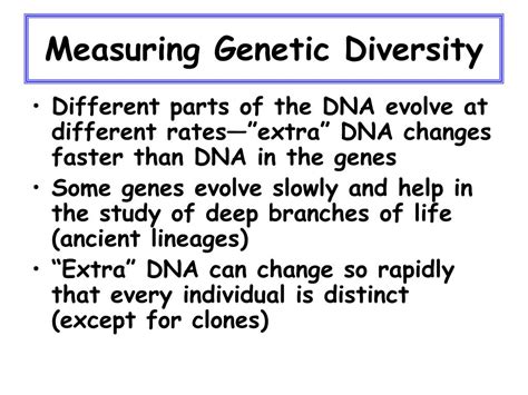 Ppt Genetic Diversity Powerpoint Presentation Free Download Id611552