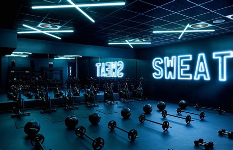 Gym Design Guide Pictures Ideas And Tips