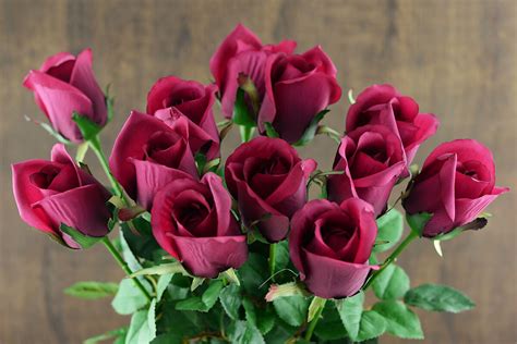 One Dozen Burgundy Silk Ecuador Roses 24
