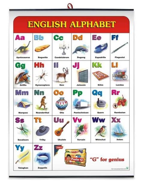 English Alphabet Chart Pdf Photos Alphabet Collections Images And