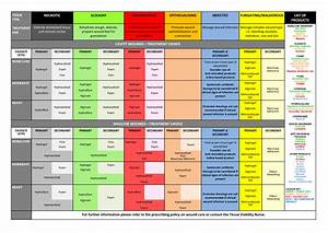 Wound Management Summary Chart