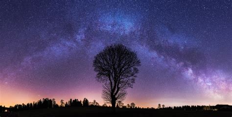 1024x520 Resolution Milky Way And Lonely Tree 1024x520 Resolution