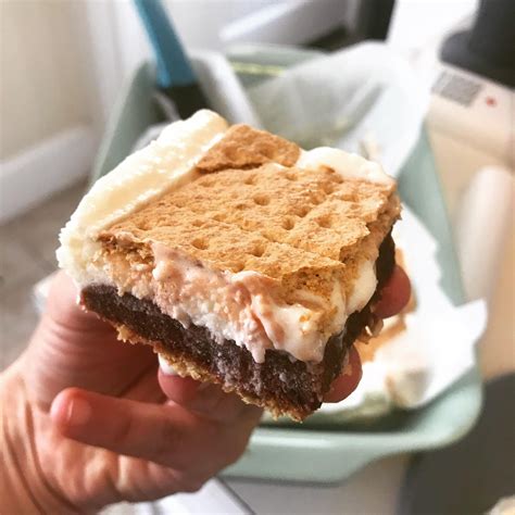 You'll only need 1 ½ teaspoons for this entire batch of ice. Homemade s'mores ice cream sandwiches for 117 calories ...