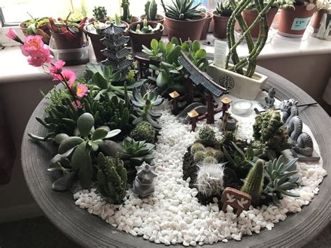 This Mini Japanese Garden With A Miniature Zen Garden Featuring Cacti