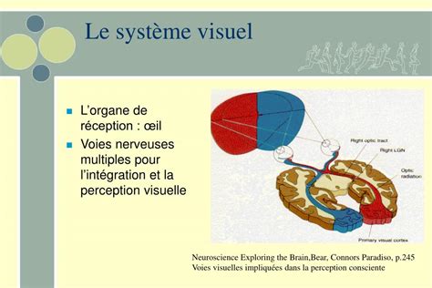 Ppt La Vision Powerpoint Presentation Free Download Id4511251