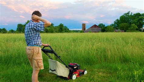 How To Cut Grass That Is Too Long Obsessed Lawn