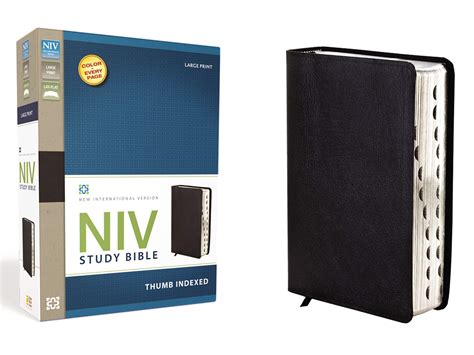 Niv Study Bible Large Print Bonded Leather Black Red Letter Edition