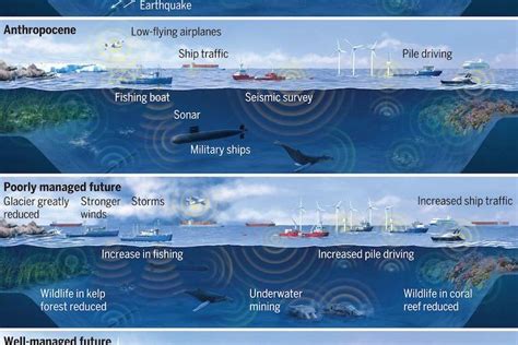For Marine Life Human Noise Pollution Brings ‘death By A Thousand Cuts