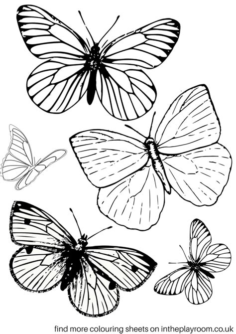 From super simple butterfly coloring pages toddlers and preschoolers will easily color through friendly looking ones kids in kindergarten will love to realistic ones older kids and you will love. Free Printable Butterfly Colouring Pages - In The Playroom