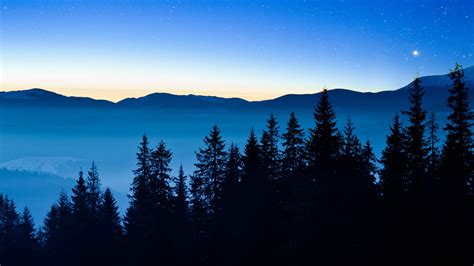 Nightly View In Carpathian Mountains Winter Landscape