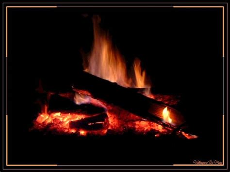 Campfire Warmth Campfire Fire Flames Camping Hd Wallpaper Peakpx