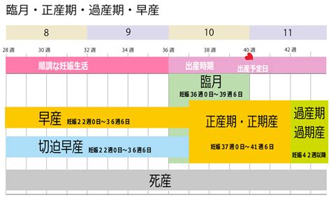 白月光与朱砂痣 原唱 大籽 国语vs日语vs粤语 白月光在照耀 你才想起她的好 朱砂痣久难消你是否能知道 抖音翻唱 胖虎 大门e 戴羽彤. 出産予定日よりも早い出産!初産と経産婦は？（33週34週35週36週 ...