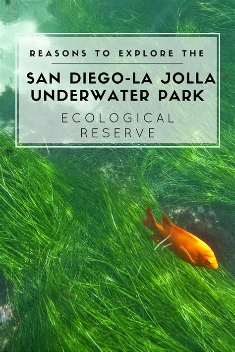 About The La Jolla Underwater Park And Ecological Reserve