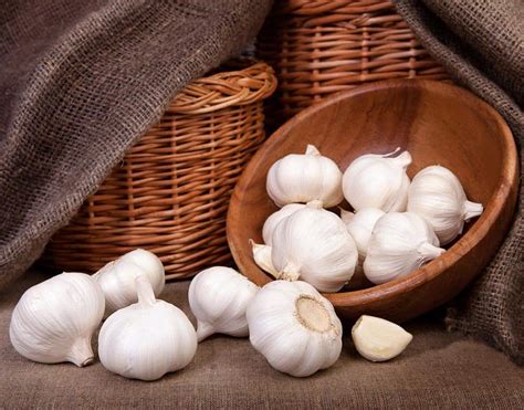 Hair grows from a root at the bottom of a follicle under your skin. Different ways to use garlic for hair growth - Womens ...