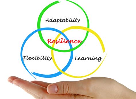 How To Build Resilience And Adapt To Uncertainty Summit Success