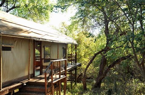 Thakadu River Camp Madikwe Game Reserve Malaria Free