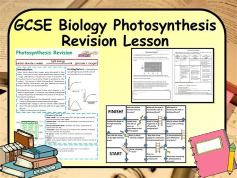 Gcse Biology Photosynthesis Revision Lesson Teaching Resources Photosynthesis Gcse Science