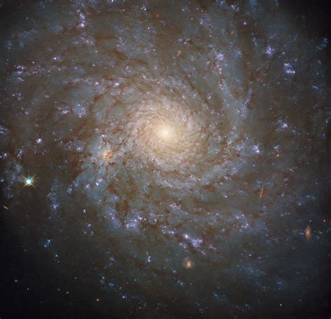 Hubble Spies A Stunning Spiral Galaxy Ngc Spiral Galaxy Hubble