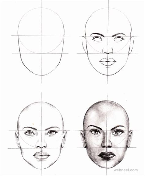 Easy Drawing Step By Step Face How To Draw A Face Proportions Made