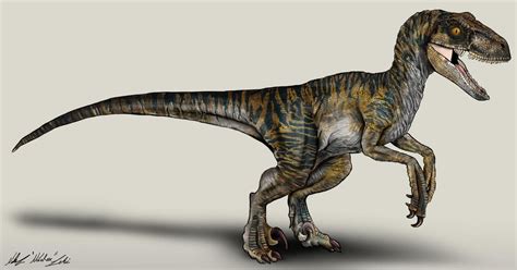 Jurassic World Velociraptor Echo By Nikorex On Deviantart Jurassic
