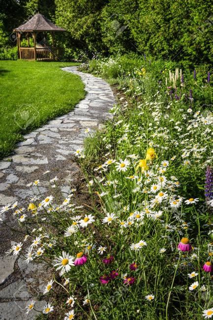 Start To Sow Wildflowers Seeds In Early Spring To Enjoy Beautiful