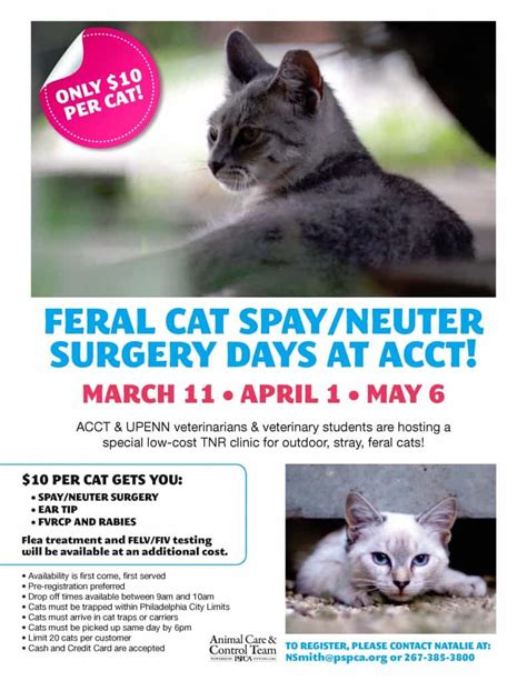 Book your cat's appointment today. Spring Low-Cost Spay/Neuter Clinics Announced for Feral ...