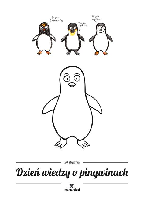 Pingwin Z Okazji Dnia Pingwina Karta Krok Po Kroku Kolorowanka