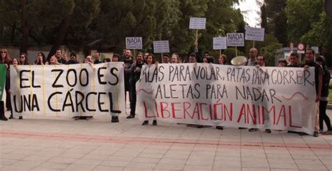 Maltrato Animal Los Animalistas Protestan En El Zoo De Madrid Contra