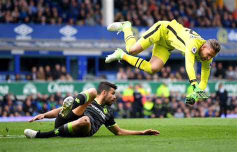 Born 22 september 1982) is a dutch footballer who plays as a goalkeeper for eredivisie club ajax and the netherlands national team. Everton goalkeeper Stekelenburg nearing return to fitness ...