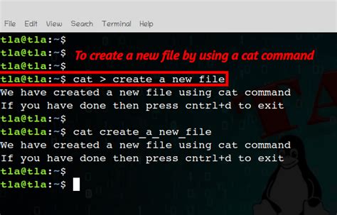 Cat Command In Linux With Examples Taste The Linux